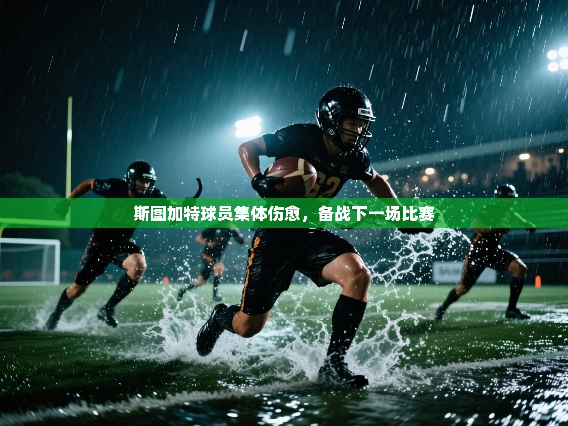 斯图加特球员集体伤愈,备战下一场比赛 第1张