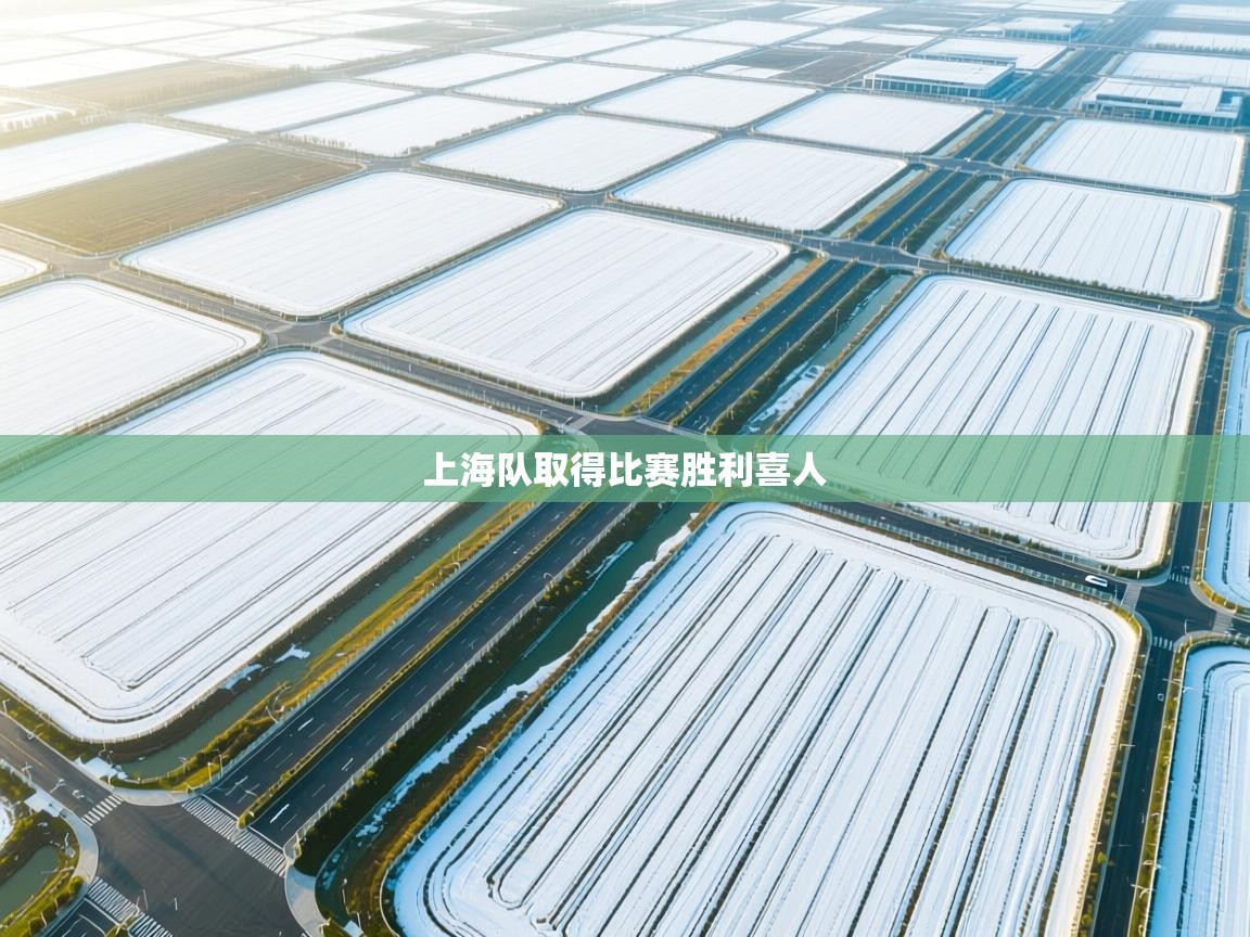 上海队取得比赛胜利喜人 第2张