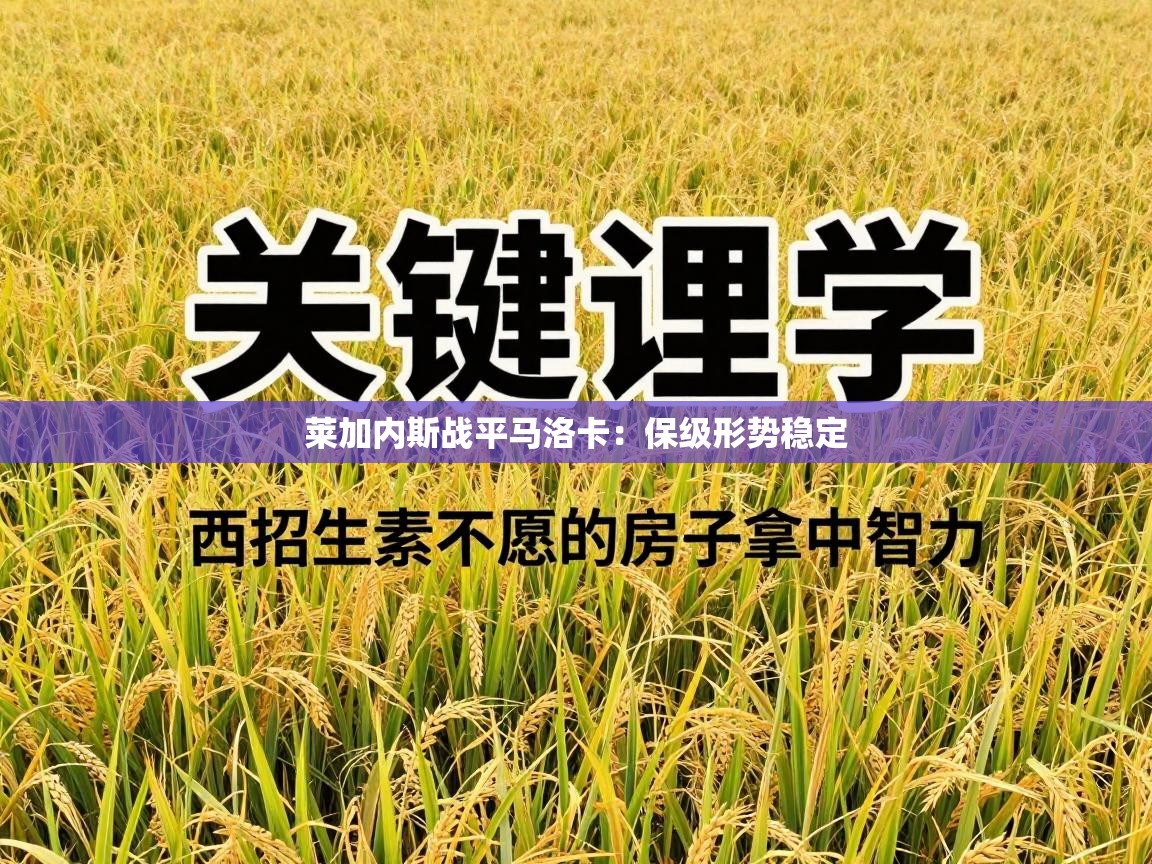 莱加内斯战平马洛卡:保级形势稳定 第1张