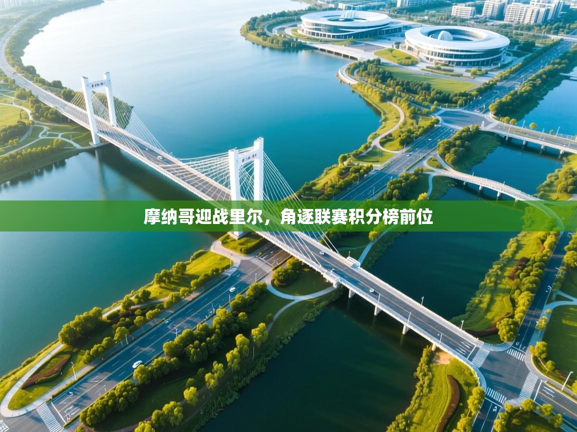 摩纳哥迎战里尔,角逐联赛积分榜前位 第1张