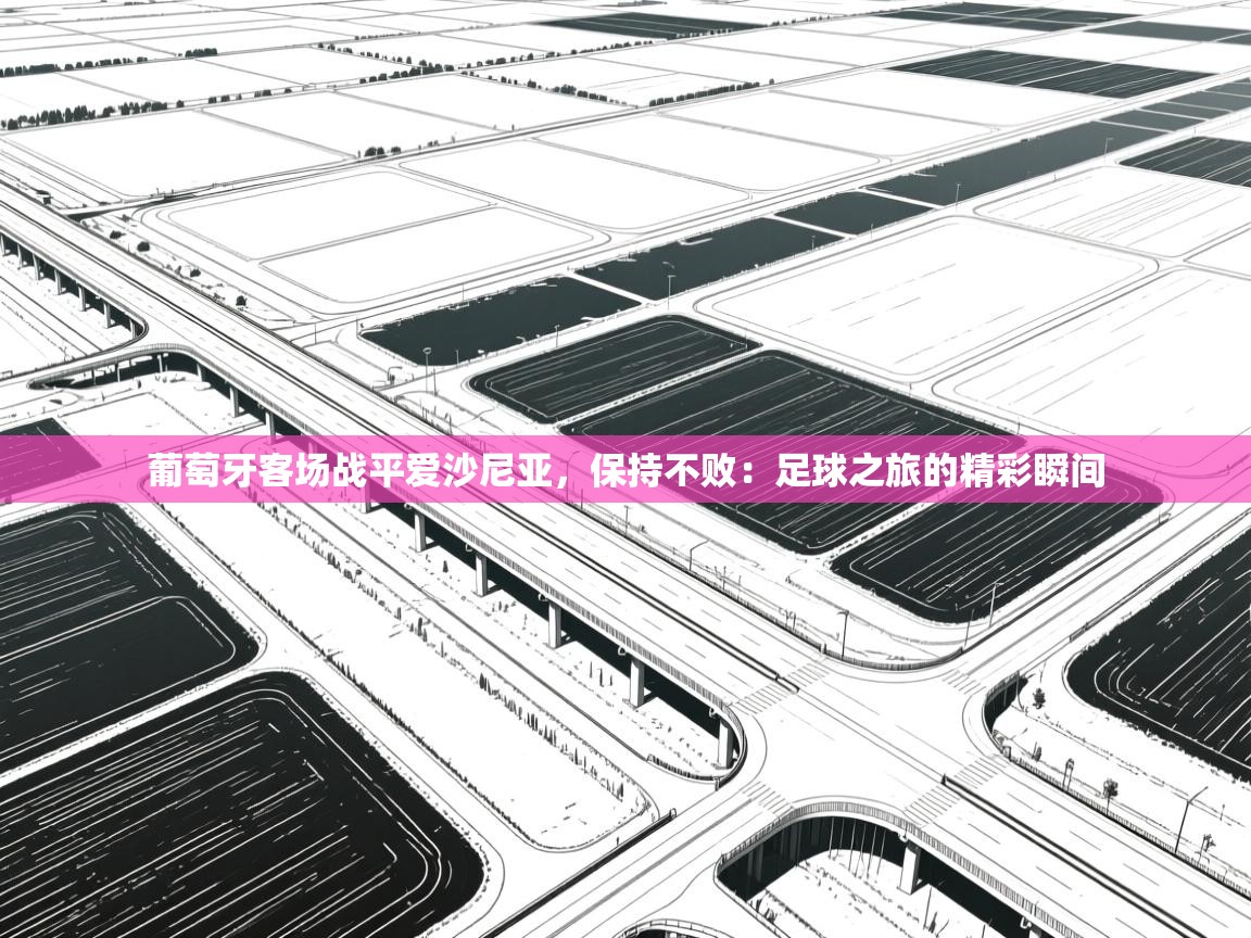 葡萄牙客场战平爱沙尼亚，保持不败：足球之旅的精彩瞬间  第1张