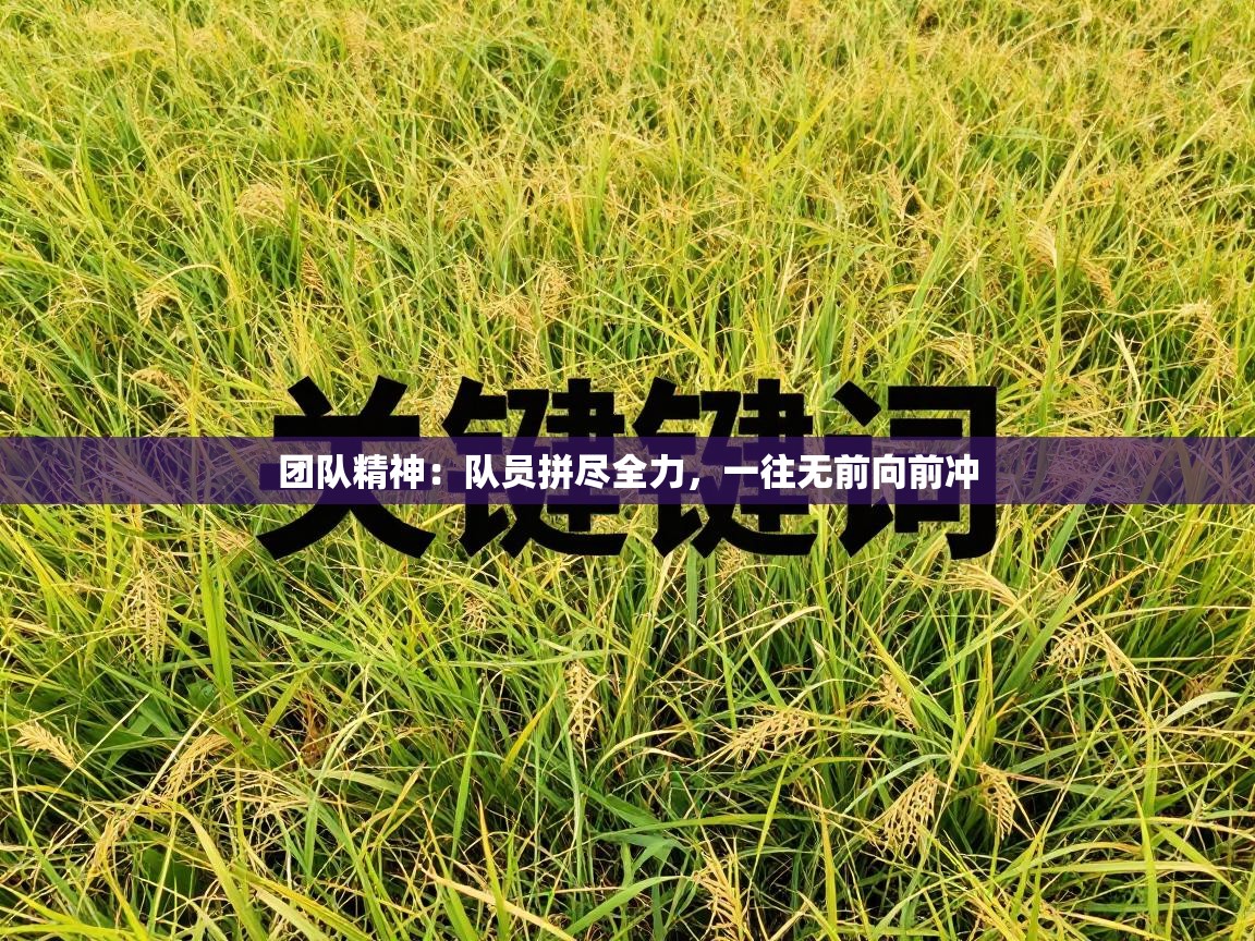 团队精神：队员拼尽全力，一往无前向前冲  第1张